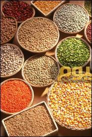 اسعار الحبوب والبقوليات فى مصر اليوم