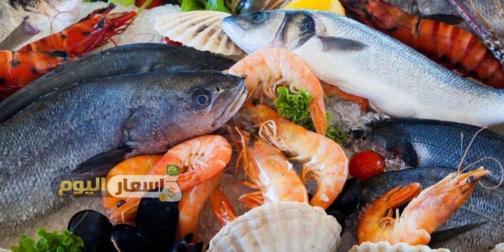 Photo of أسعار السمك في سوق العبور 2022 وفي محافظات جمهورية مصر العربية اليوم