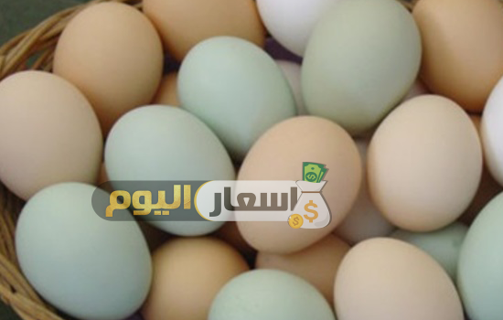 Photo of أسعار البيض اليوم محدث
