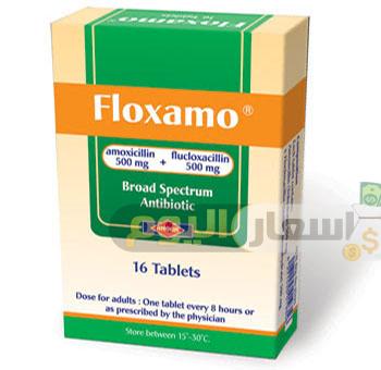 استخدامات دواء فلوكسامو floxamo