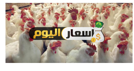 Photo of أسعار بورصة الدواجن الجداوي 2021