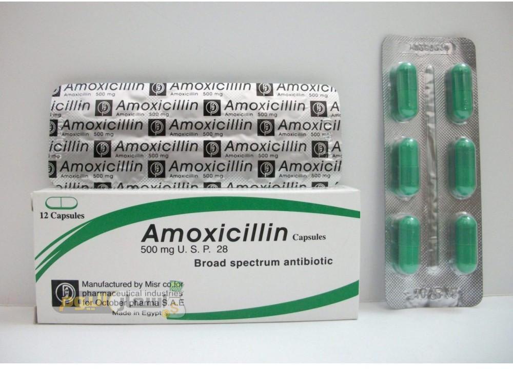 Photo of سعر دواء أموكسيسللين amoxicillin مضاد حيوي لعلاج الالتهابات البكتيريا