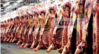 أسعار اللحوم الحية في مصر اليوم 2019