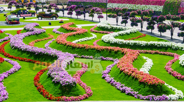 Photo of رسوم دخول حديقة الزهور في دبي 2021