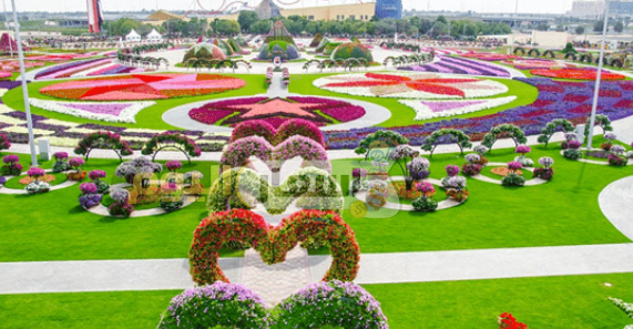 رسوم دخول حديقة الزهور في دبي 2019