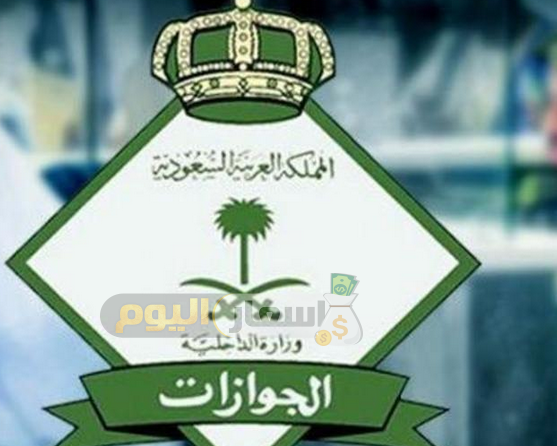 Photo of سعر التأشيرة التجارية للسعودية 2022