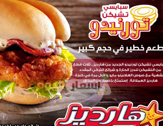Photo of أسعار وجبات هارديز في الإمارات 2022