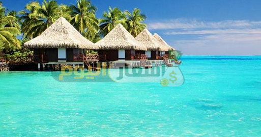 تكلفة السفر إلى جزر المالديف من مصر