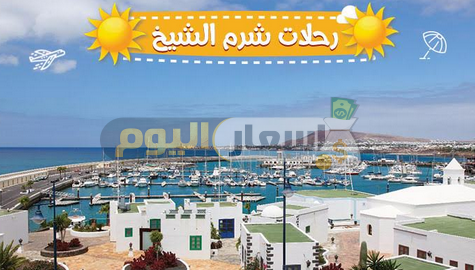 Photo of أسعار رحلات شرم الشيخ بالانتقالات 2023