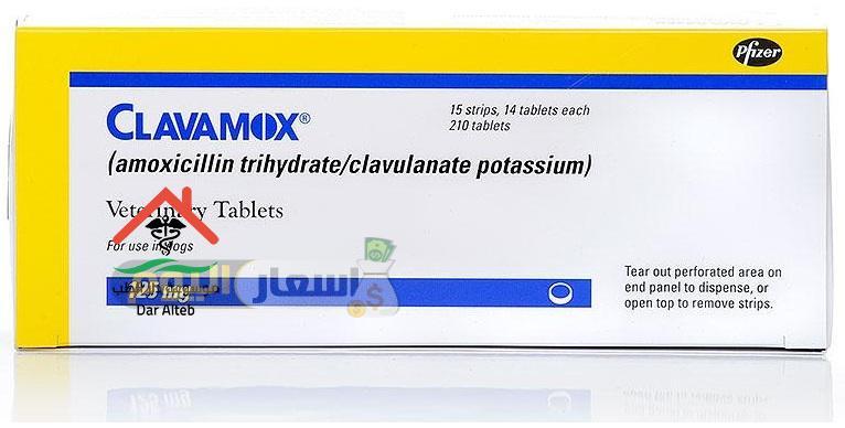 Photo of سعر دواء كلافيموكس أقراص وشراب اخر تحديث clavamox tablets مضاد حيوي