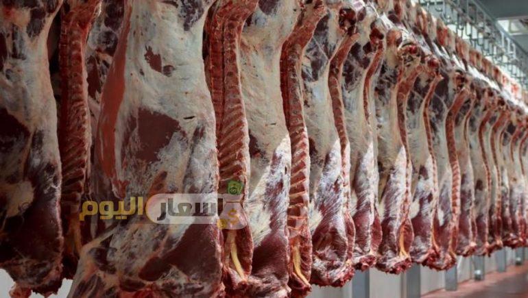 Photo of أسعار اللحوم الحية اليوم تحديث أكتوبر 2022