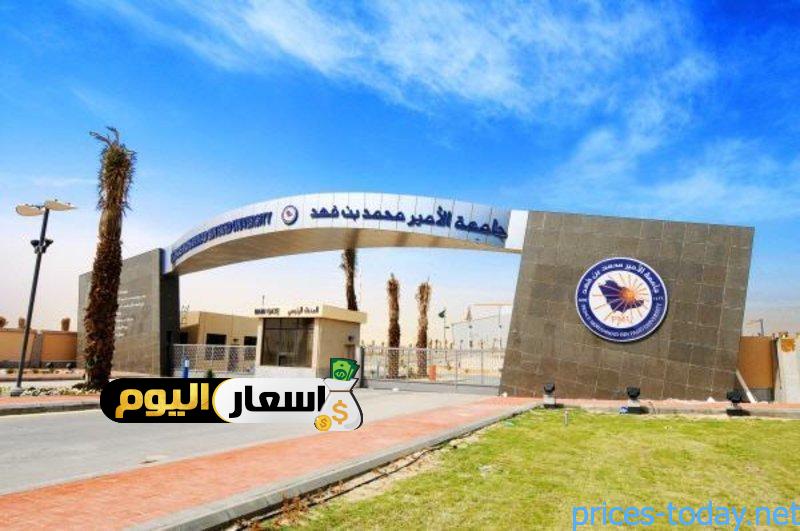 Photo of رسوم جامعة الأمير محمد بن فهد 2023 -1444