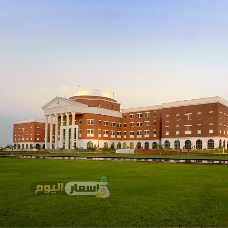 Photo of رسوم كلية البترجي 2022