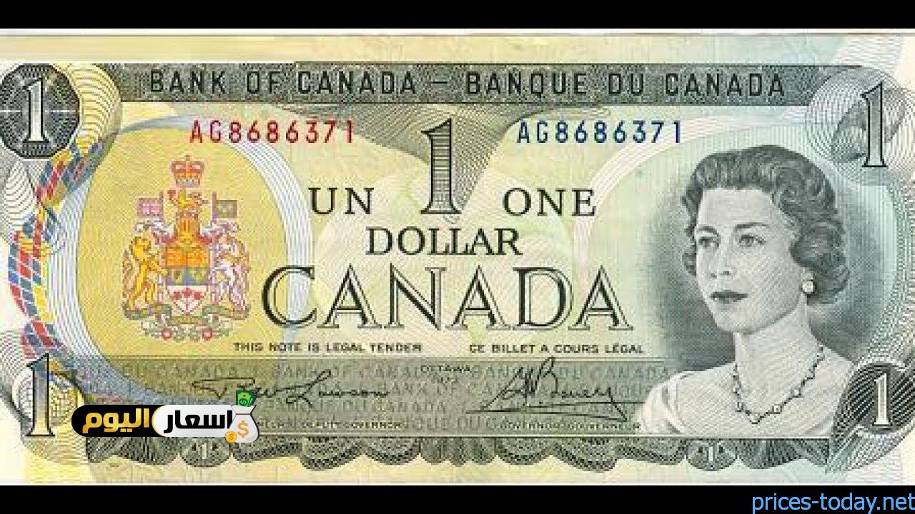 دولار كندي