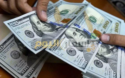 الدولار سيصل 25 جنيه توقعات سعر الدولار في مصر 2022