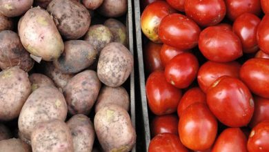 Photo of اسعار البطاطس والطماطم اليوم محدث يوميا 2022