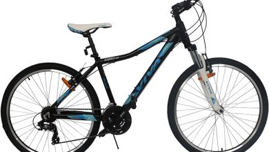 Photo of اسعار الدراجات “العجل” فى مصر 2025