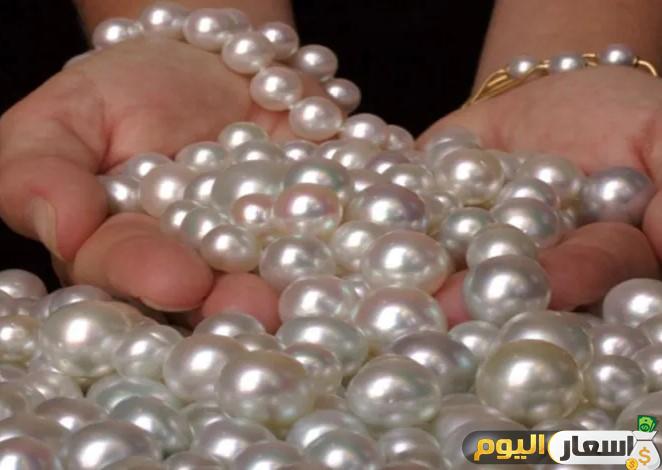 أسعار اللؤلؤ 