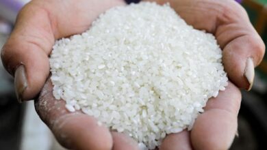 Photo of سعر 10 كيلو رز 2025 – سعر كيس الأرز 10 كيلو اخر تحديث