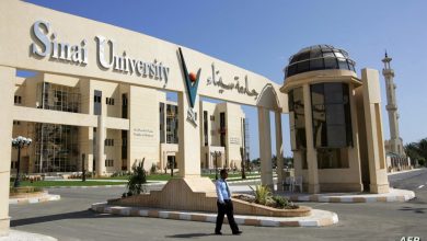 Photo of مصاريف وتنسيق جامعة سيناء 2024 – 2025 التحديث الرسمى