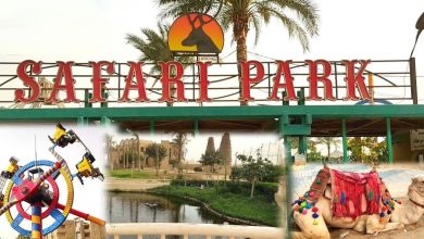 Photo of سفاري بارك 2025 بالصور اسعار التذاكر ومواعيد العمل اخر تحديث