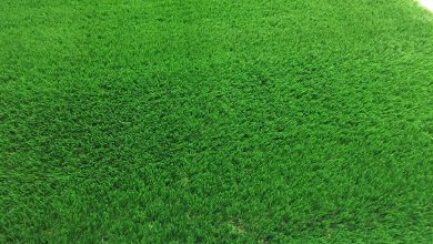 Photo of اسعار العشب الصناعي في السعودية 2025