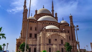 Photo of أسعار دخول قلعة محمد علي “قلعة صلاح الدين ” ومواعيد الزيارة 2025