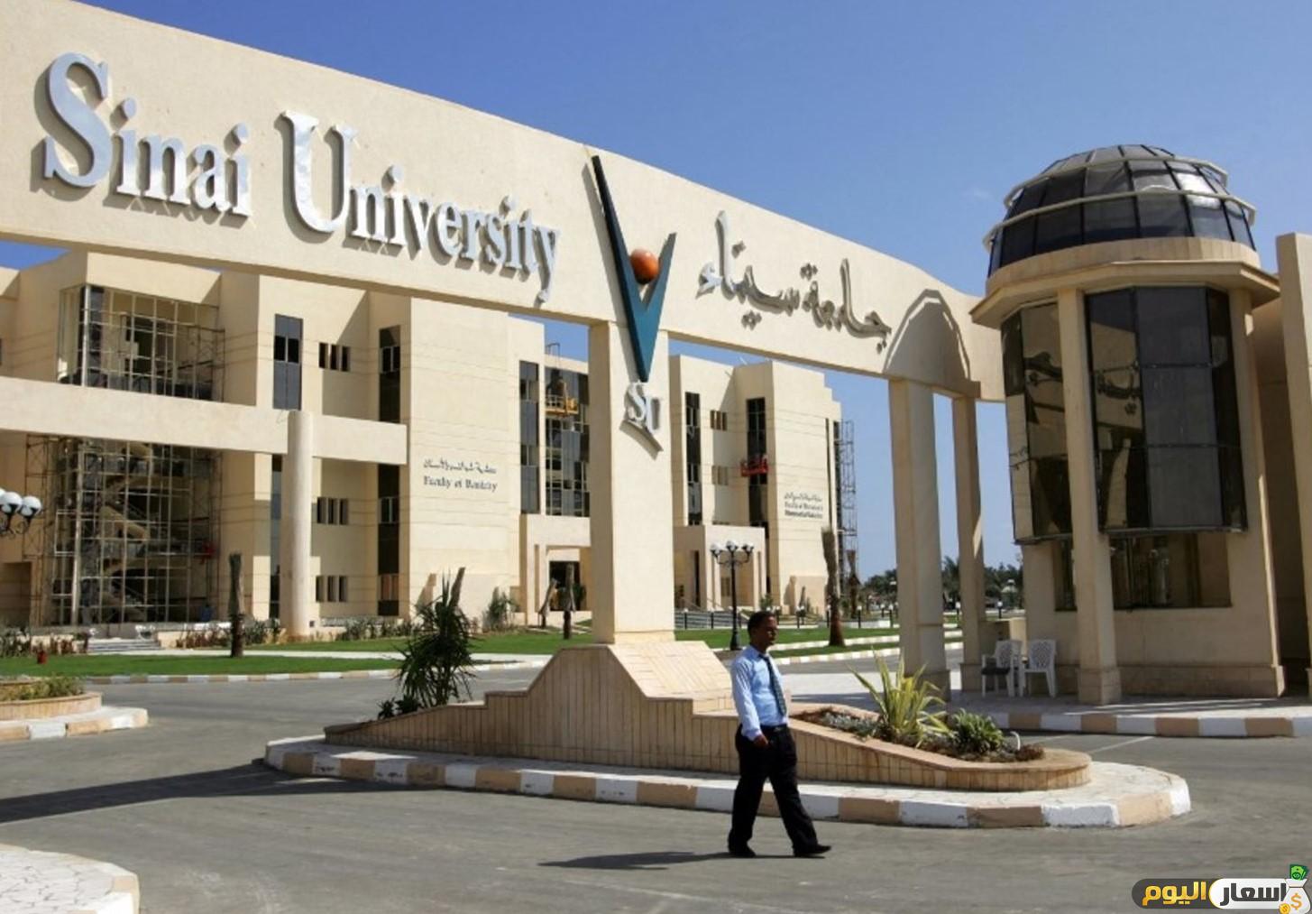 مصاريف جامعة سيناء