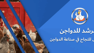 Photo of أسعار الدواجن في المرشد للدواجن اليوم الثلاثاء 29-04-2025