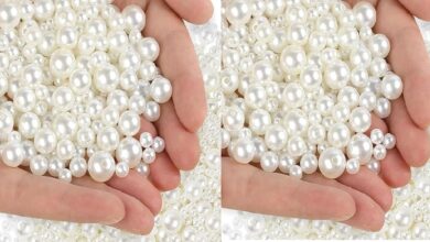 Photo of أسعار اللؤلؤ 2025.. وما هى انواعه كيف يقوم المحار بإنتاجه وما هي خصائصه وألوانه