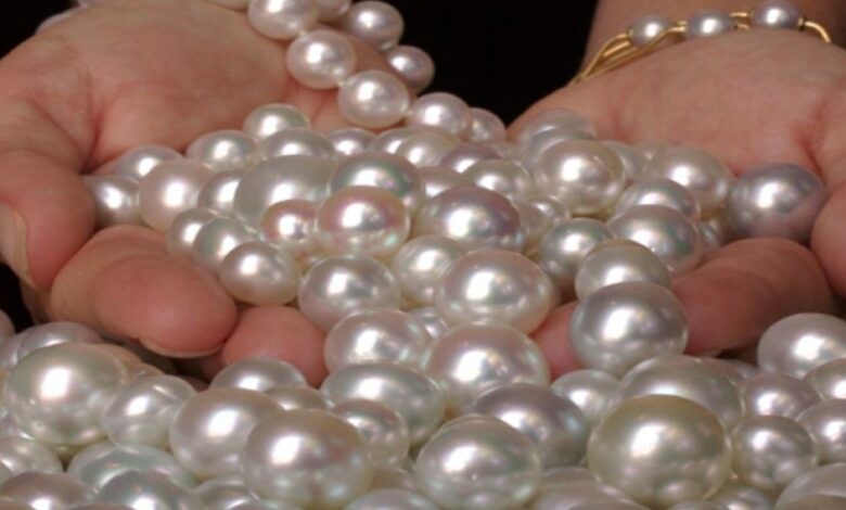 سعر اللؤلؤ الطبيعي في مصر 2025