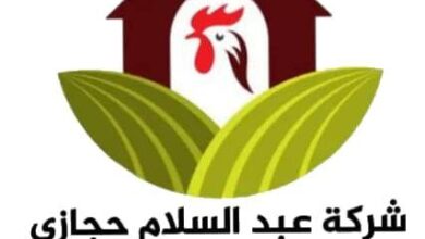 Photo of سعر كتكوت عبد السلام حجازي اليوم