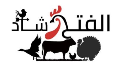 Photo of اسعار علف الفتح اليوم