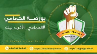 Photo of بورصة البيض الحمامى اليوم