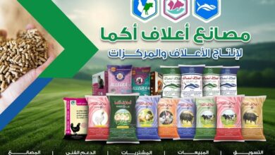 Photo of اسعار علف اكما اليوم 2025