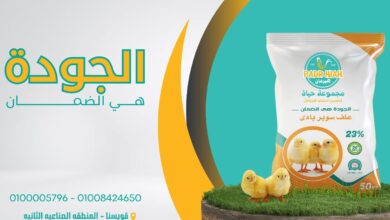 Photo of اسعار علف هيرمان اليوم أخر تحديث