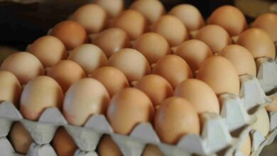 Photo of توقعات أسعار البيض غدًا في مصر 2025