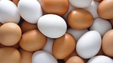 Photo of بورصة البيض أسعار البيض اليوم في السبت 3-5-2025