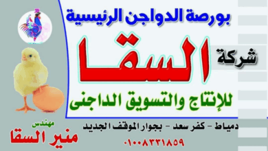 Photo of اسعار الدواجن اليوم بورصه الحاج منير السقا اليوم السسبت 3-5-2025