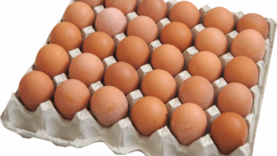 Photo of أسعار البيض اليوم محدث