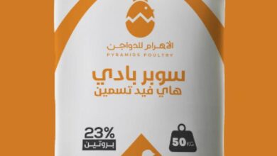 Photo of اسعار العلف البادى اليوم محدث 2025