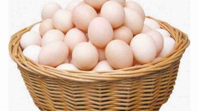 Photo of بورصة البيض ببنها أسعار البيض اليوم