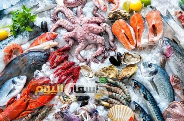 اسعار الاسماك فى مصر اليوم