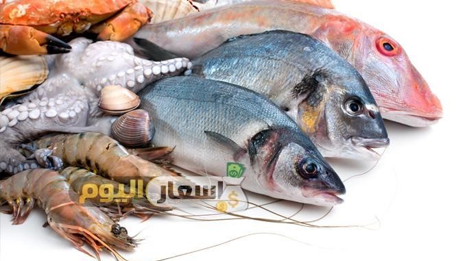 اسعار الاسماك فى مصر اليوم