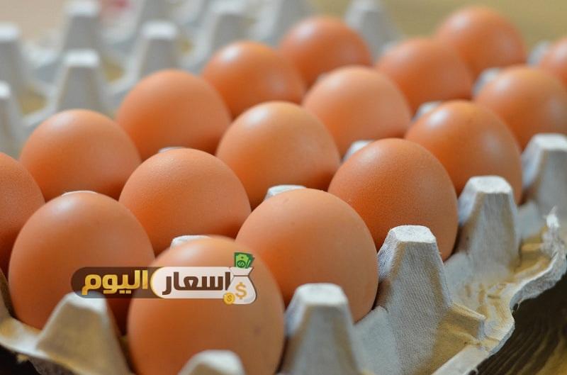 بورصة البيض اسعار البيض اليوم فى مصر